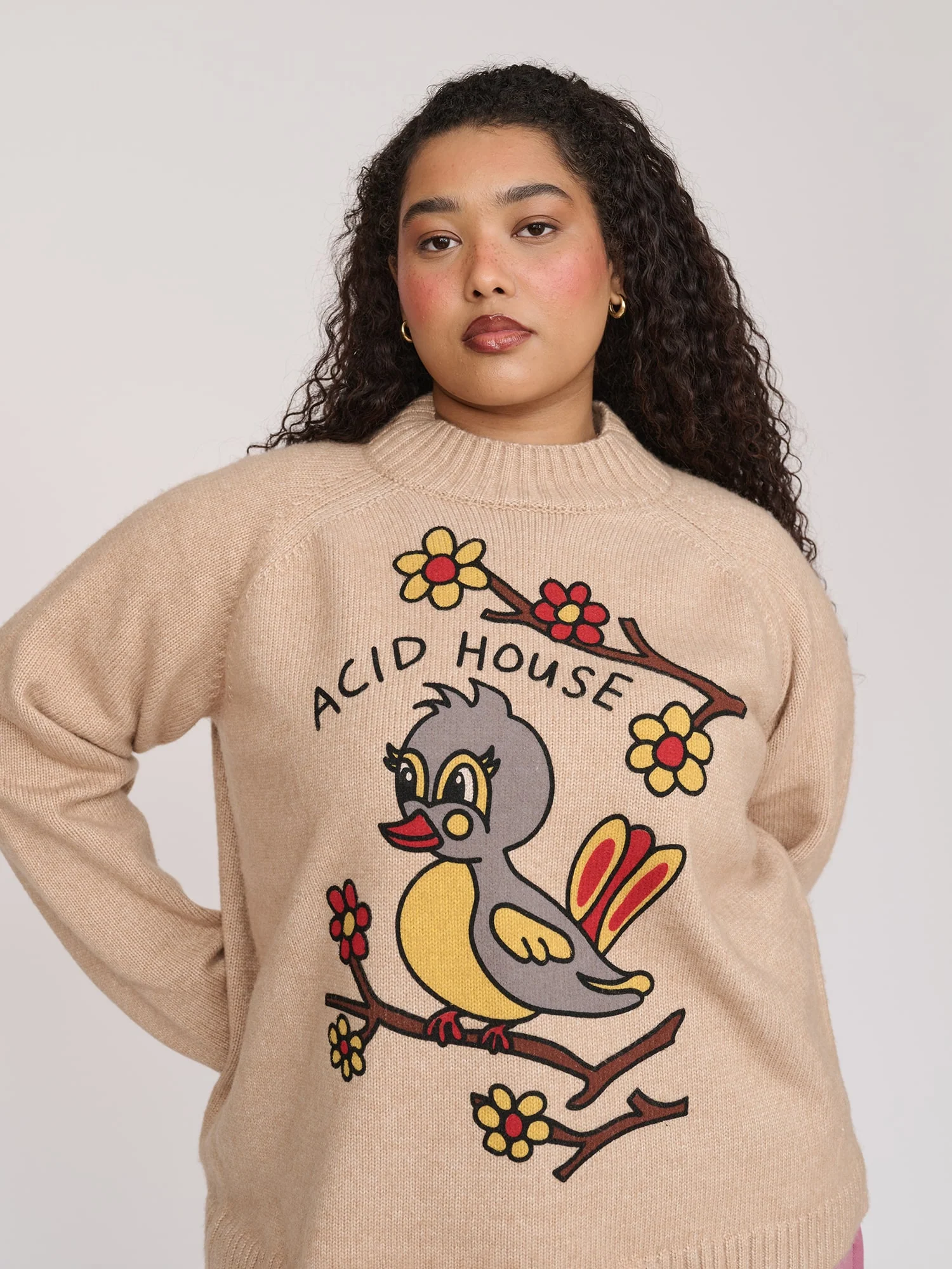 Bird House Knit Jumper