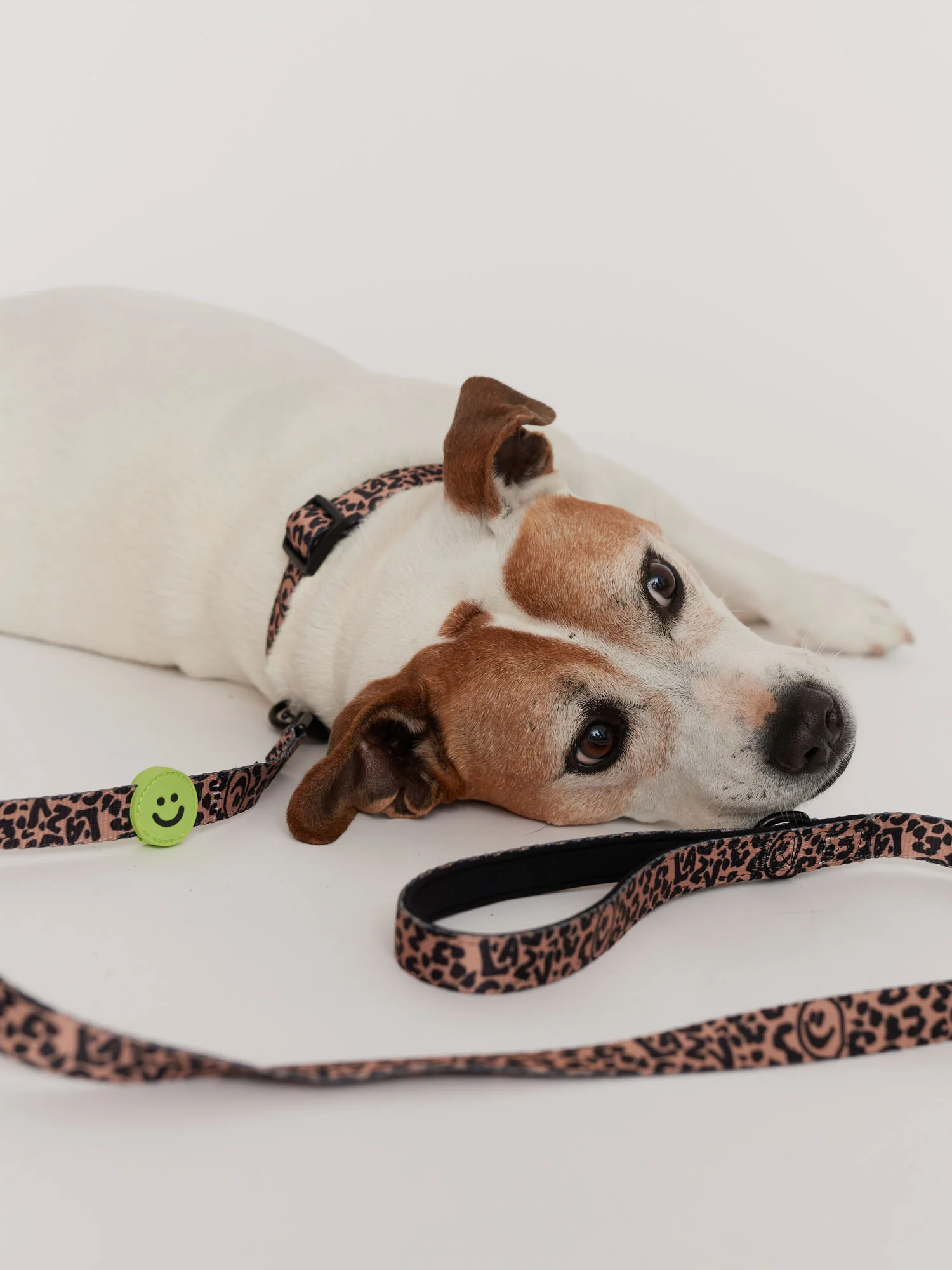 Eastend Dog Lead - Image 3