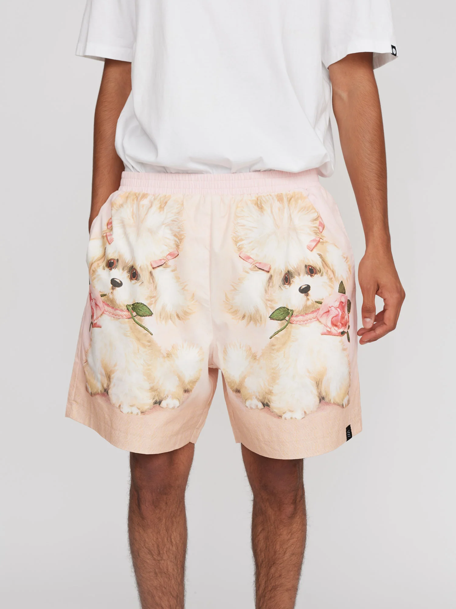 Fancy Pants Poodle Shorts - Image 5