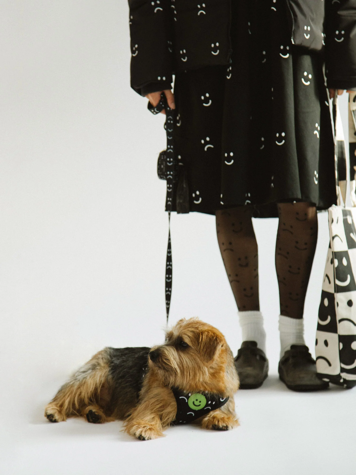 Happy Sad Dog Harness - Image 2