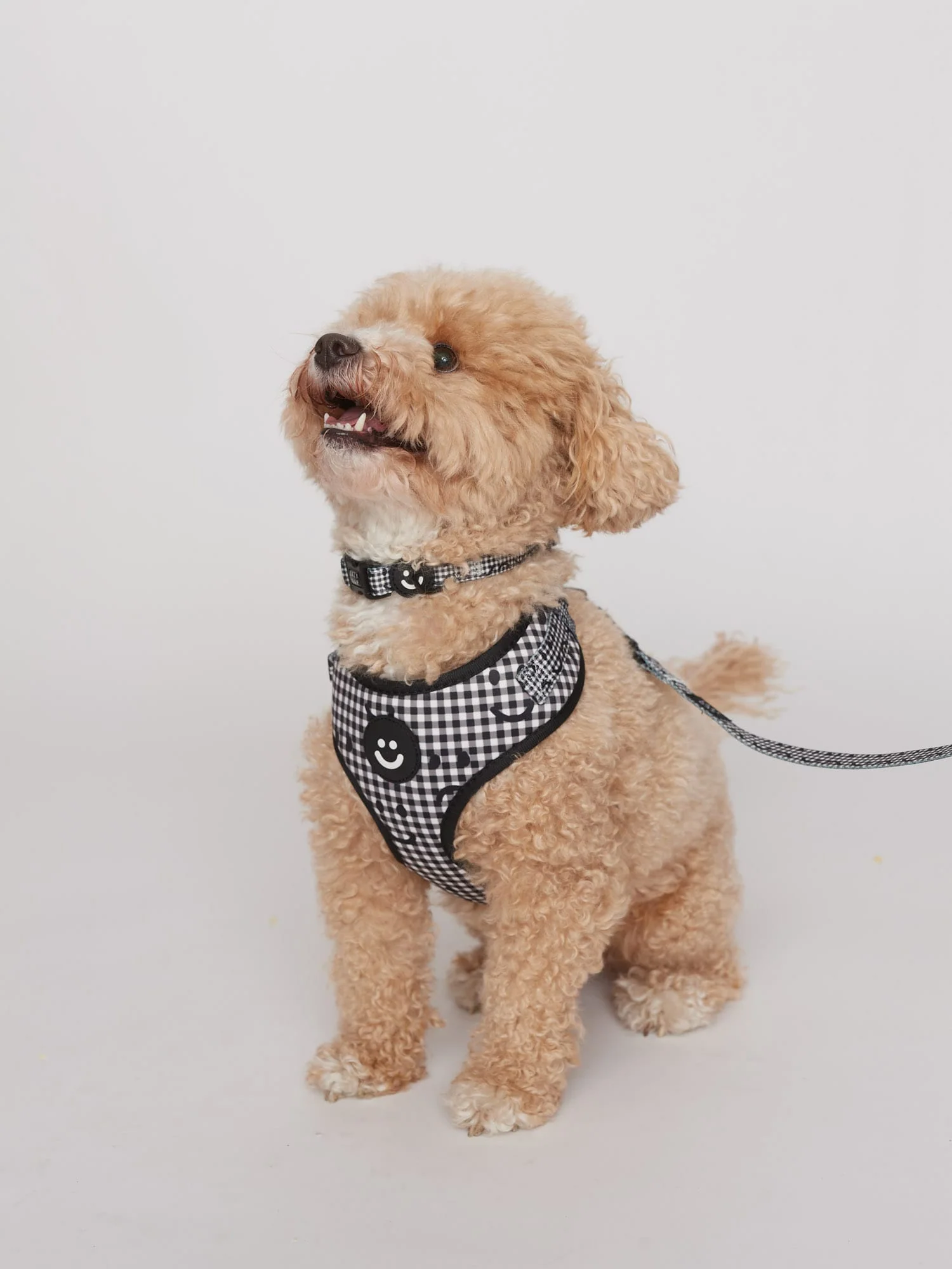 Happy Sad Gingham Dog Collar - Image 4