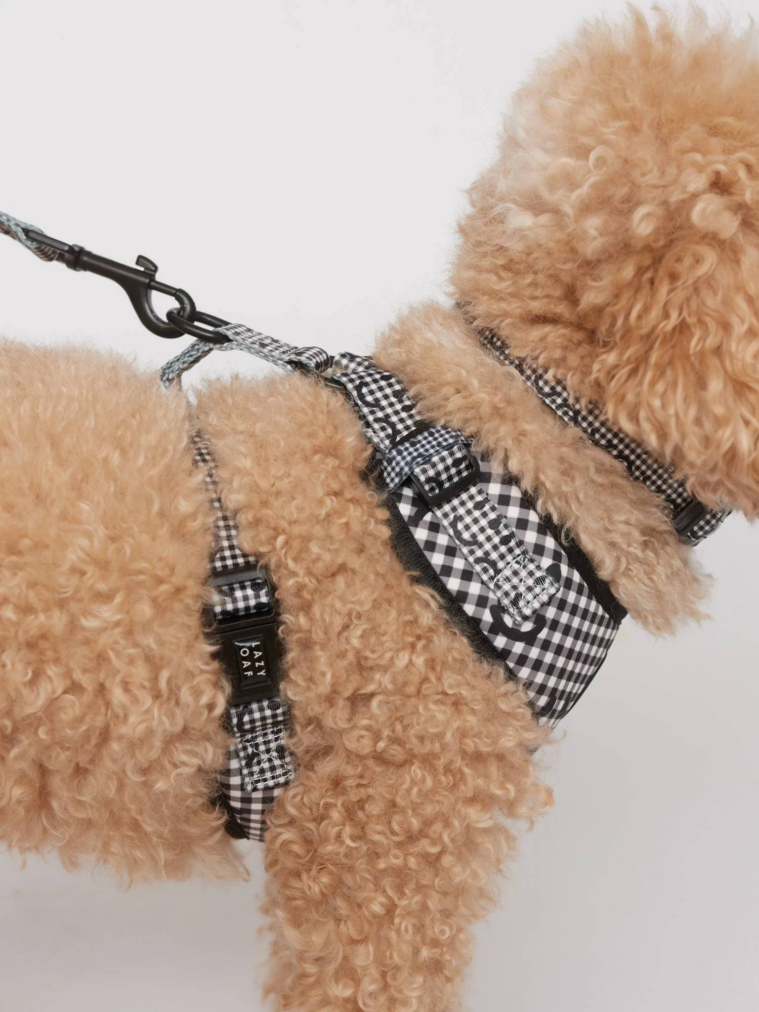 Happy Sad Gingham Dog Harness - Image 4