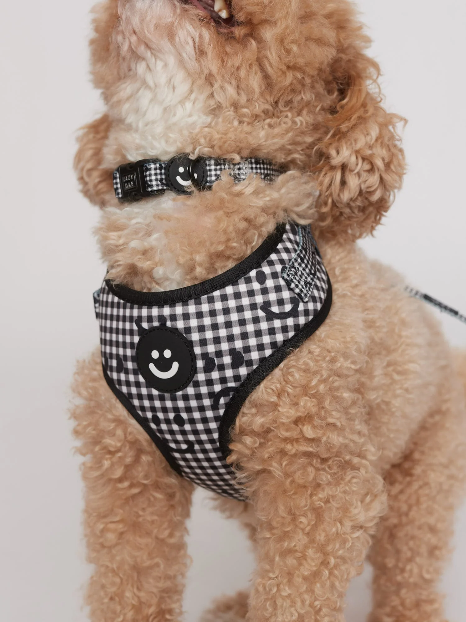 Happy Sad Gingham Dog Harness - Image 6
