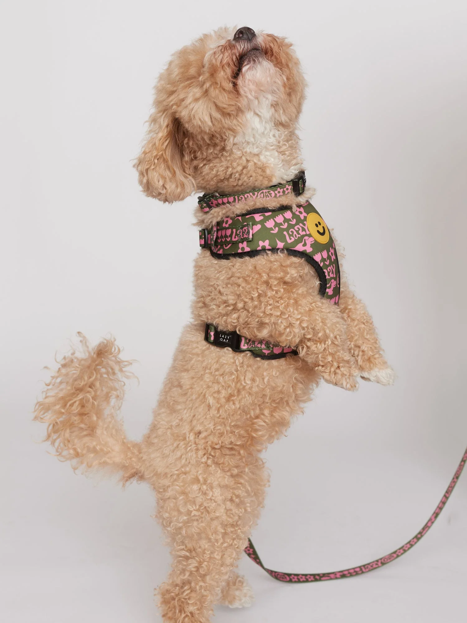 Walkies Dog Collar - Image 2