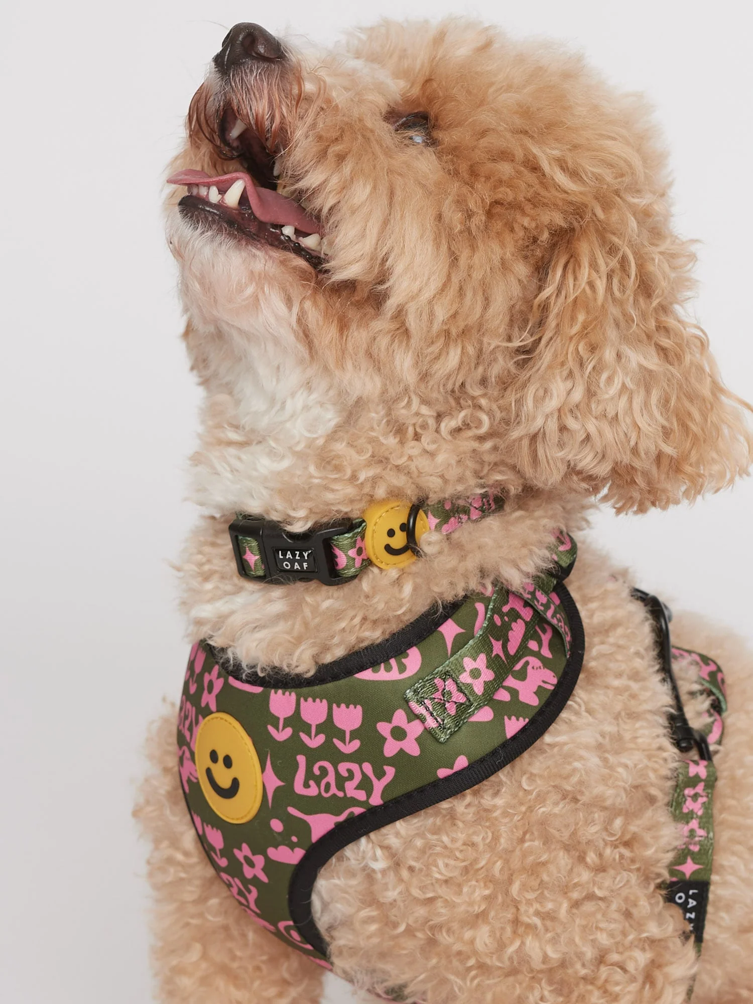Walkies Dog Collar - Image 4