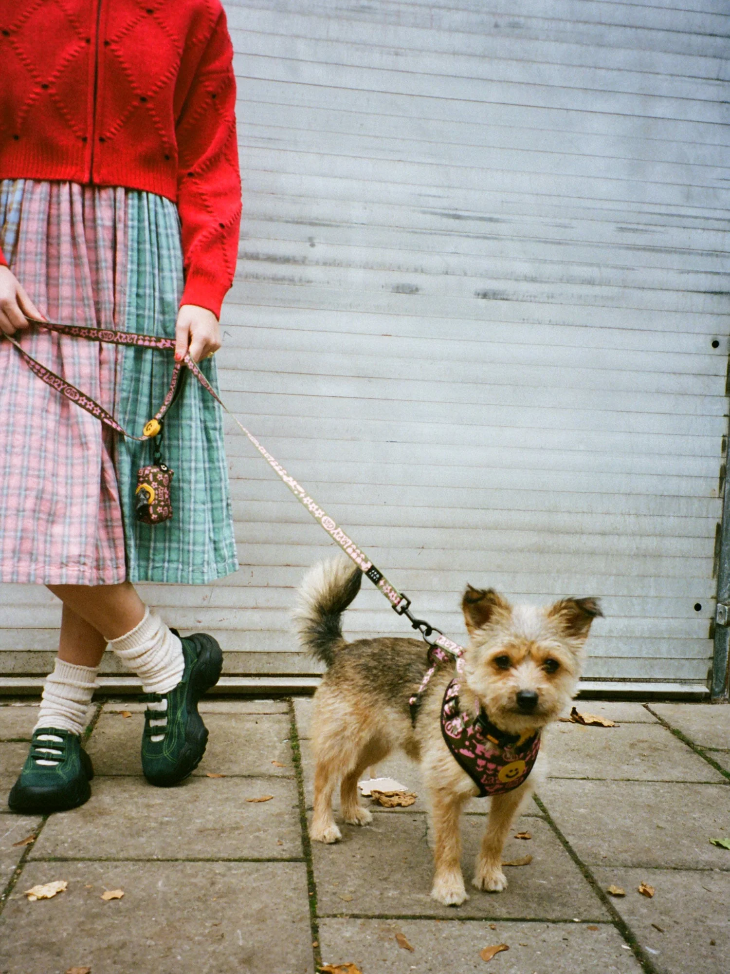 Walkies Dog Lead - Image 2