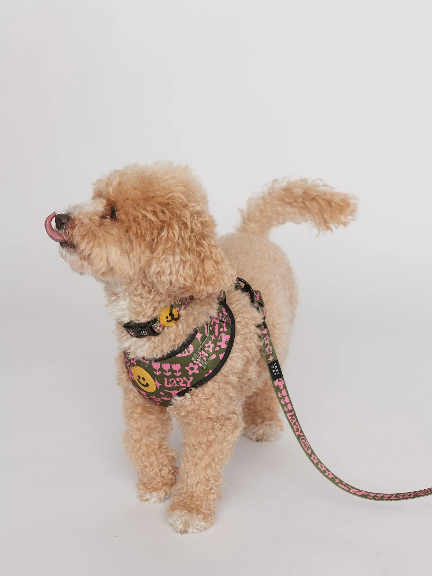 Walkies Dog Lead - Image 4