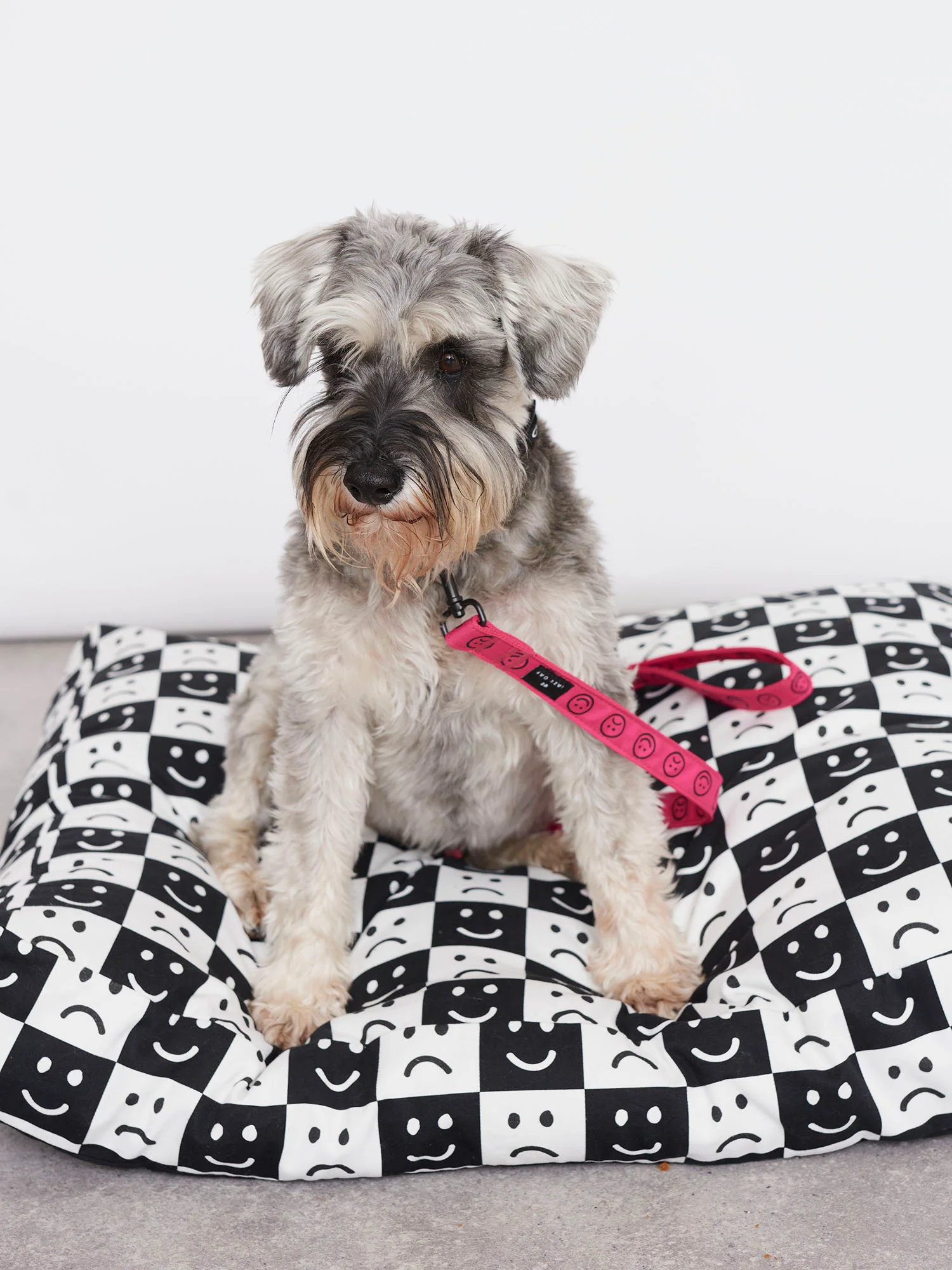 Lazy Oaf Happy Sad Pink Dog Lead - Image 2