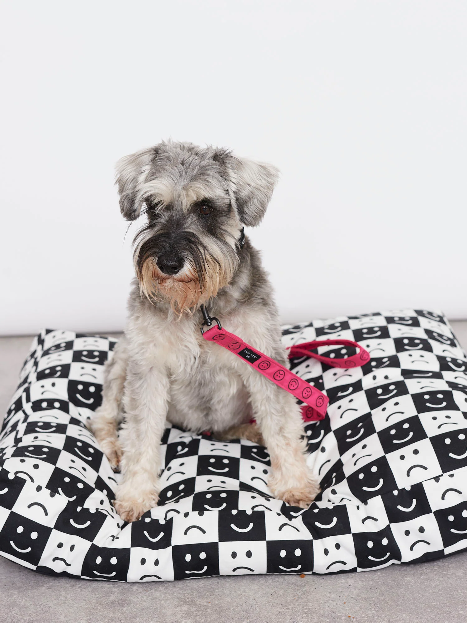 Lazy Oaf Happy Sad Dog Floor Cushion