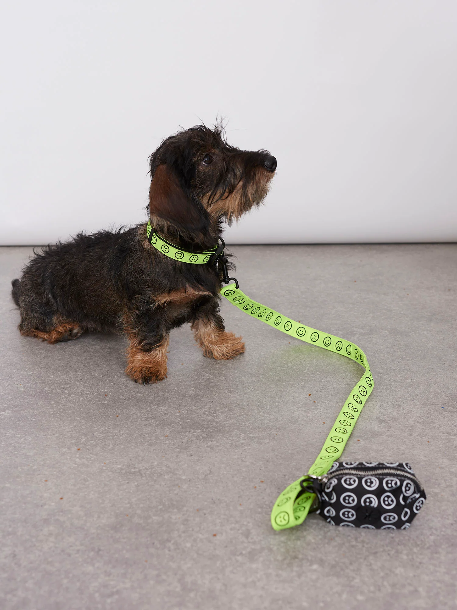 Lazy Oaf Happy Sad Fluro Dog Lead