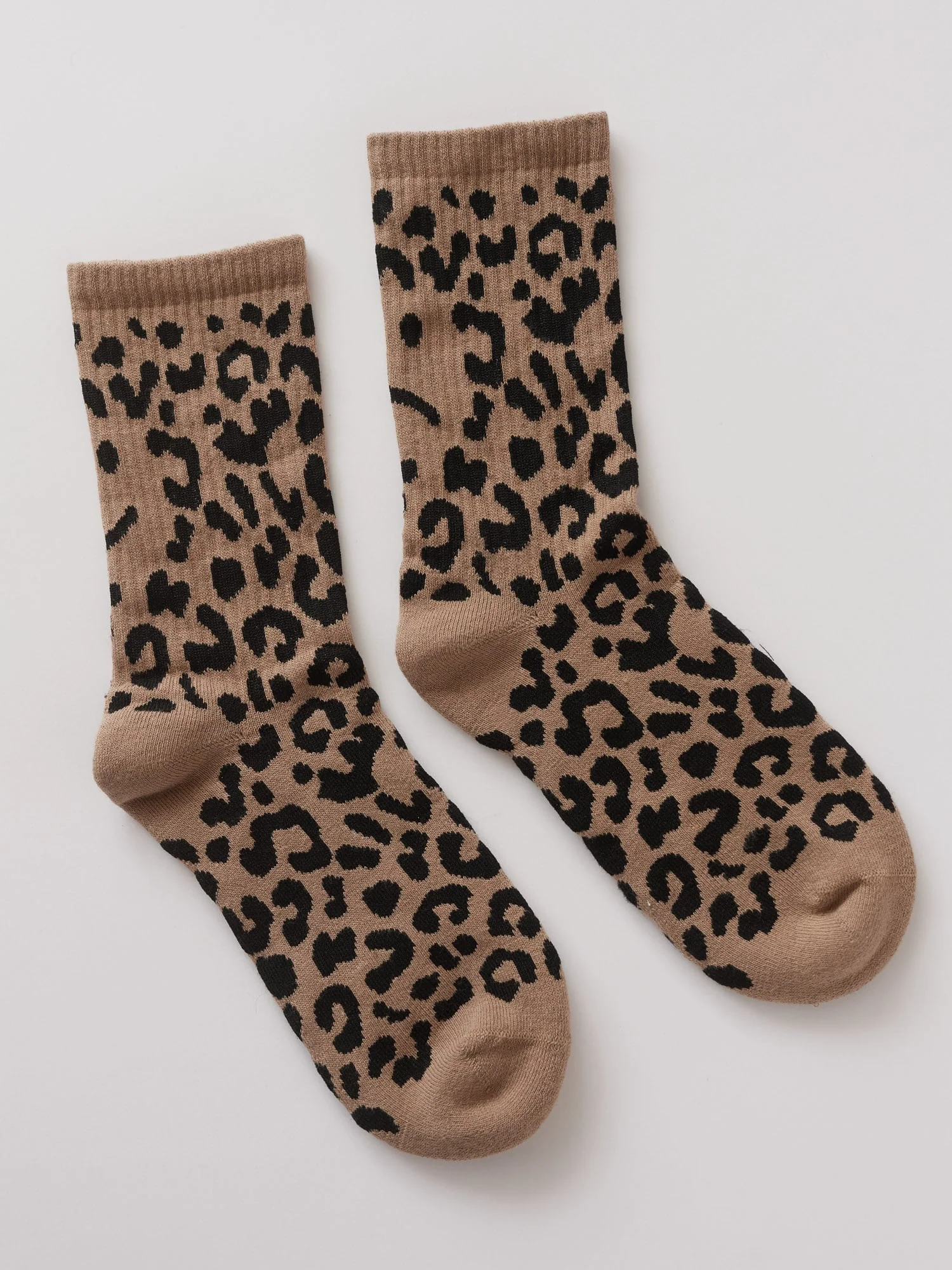 The Leopard Lover - Image 3